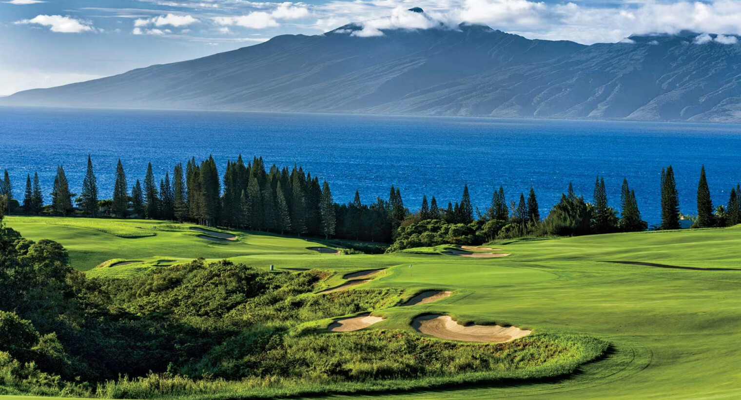 Kapalua Plantation