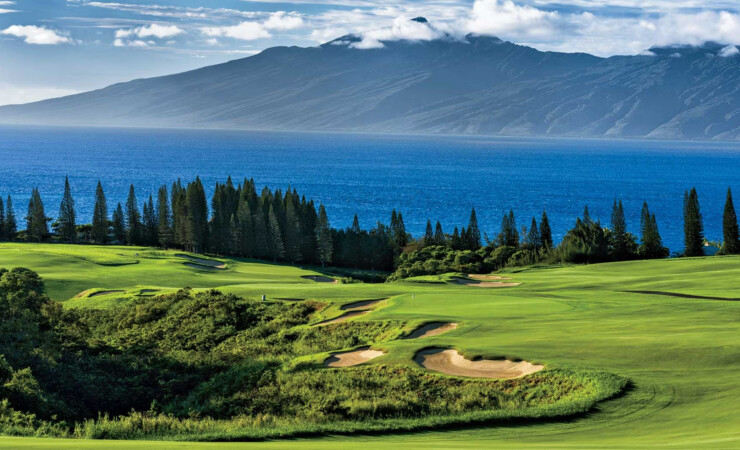 Kapalua Plantation